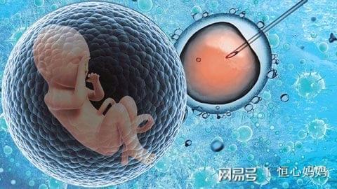 国内借卵借卵代孕网